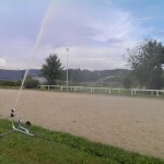 Regen_03