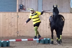 Faschingsreiten 2016