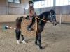dsc00323-2_500x333