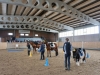 dsc00324-2_500x333