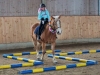 dsc00335-2_500x333