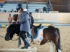 dsc00350-2_640x427