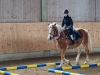 dsc00358-2_640x427