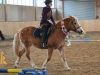 dsc00401-2_620x480
