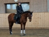 dsc00424-2_483x335
