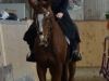 dsc00504-2_288x480