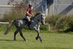 Jagdtraining 19. September 2010