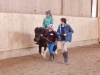 Osterreitkurs_2014_45