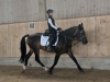 20140829_reitabzeichen_10_9_141