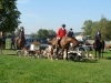 dsc05875_800x600