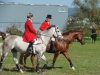 dsc05878_800x600
