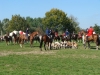 dsc05880_800x600