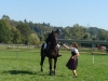 dsc05884_450x600