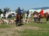 dsc05885_800x600