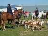 dsc05889_800x600