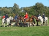 dsc05908_800x600