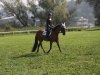 reitkurs-rc-373_640x427