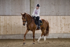 Tag der offenen Stalltüre 2014