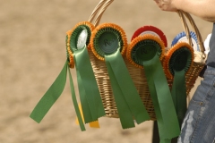 Turnier 1. August 2009