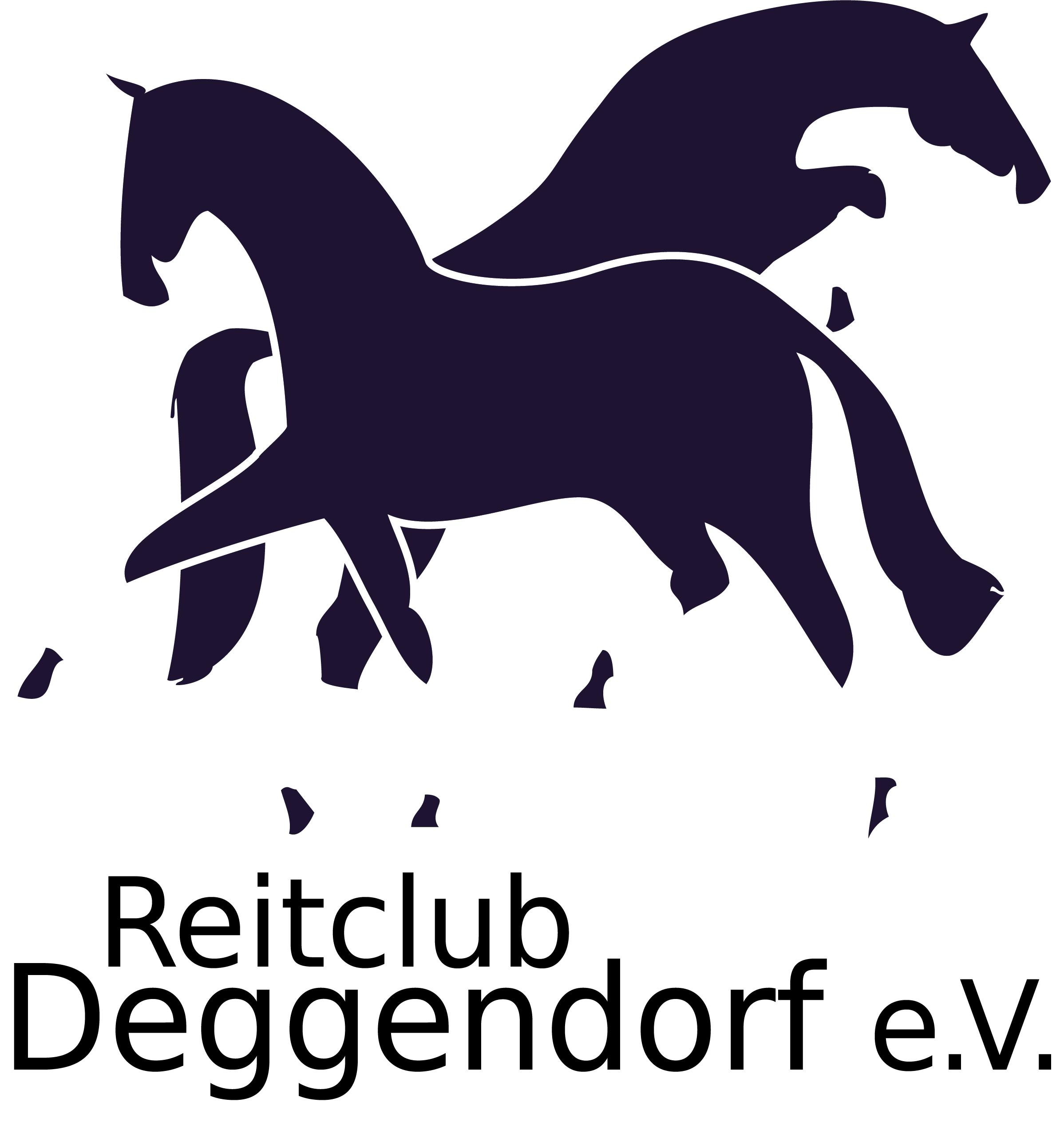 Reitclub Deggendorf e.V.